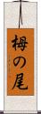 栂の尾 Scroll