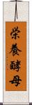 栄養酵母 Scroll