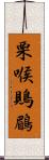 栗喉鵙鶥 Scroll