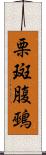 栗斑腹鵐 Scroll