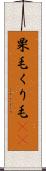 栗毛 Scroll