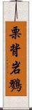 栗背岩鷚 Scroll