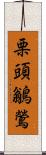 栗頭鶲鶯 Scroll