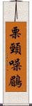 栗頸噪鶥 Scroll