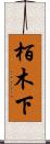 栢木下 Scroll