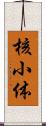 核小体 Scroll