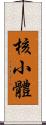 核小體 Scroll