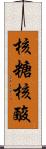 核糖核酸 Scroll