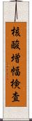 核酸増幅検査 Scroll