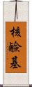 核鹼基 Scroll