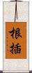 根插 Scroll