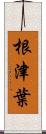 根津葉 Scroll