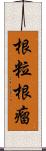 根粒 Scroll