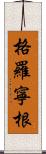 格羅寧根 Scroll