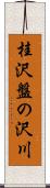 桂沢盤の沢川 Scroll