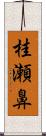 桂瀬鼻 Scroll