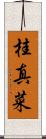 桂真菜 Scroll