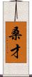 桑才 Scroll