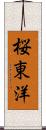 桜東洋 Scroll