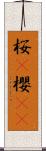 桜(P);櫻(oK) Scroll