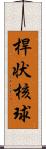 桿状核球 Scroll