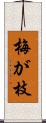 梅が枝 Scroll