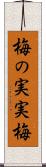 梅の実 Scroll