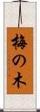 梅の木 Scroll
