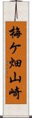 梅ケ畑山崎 Scroll