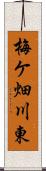 梅ケ畑川東 Scroll