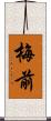 梅前 Scroll