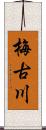 梅古川 Scroll