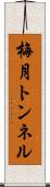 梅月トンネル Scroll