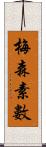 梅森素數 Scroll