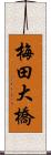 梅田大橋 Scroll