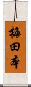 梅田本 Scroll