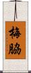 梅脇 Scroll