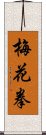 梅花拳 Scroll