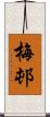 梅邨 Scroll