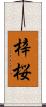 梓桜 Scroll