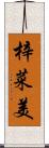梓菜美 Scroll