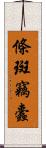 條斑竊蠹 Scroll