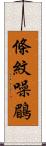 條紋噪鶥 Scroll