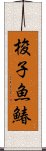 梭子魚鰆 Scroll