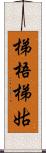 梯梧 Scroll