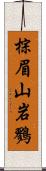 棕眉山岩鷚 Scroll