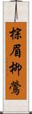 棕眉柳鶯 Scroll