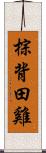 棕背田雞 Scroll