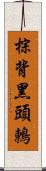 棕背黑頭鶇 Scroll