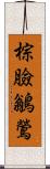 棕臉鶲鶯 Scroll